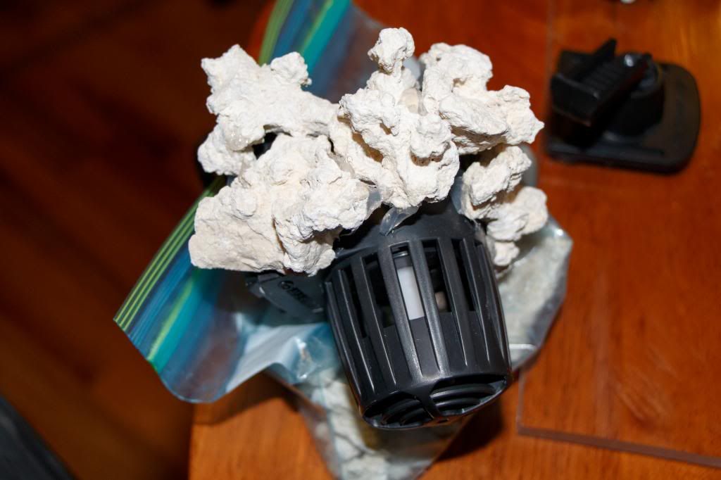 Rock-6_zps0779fd52.jpg
