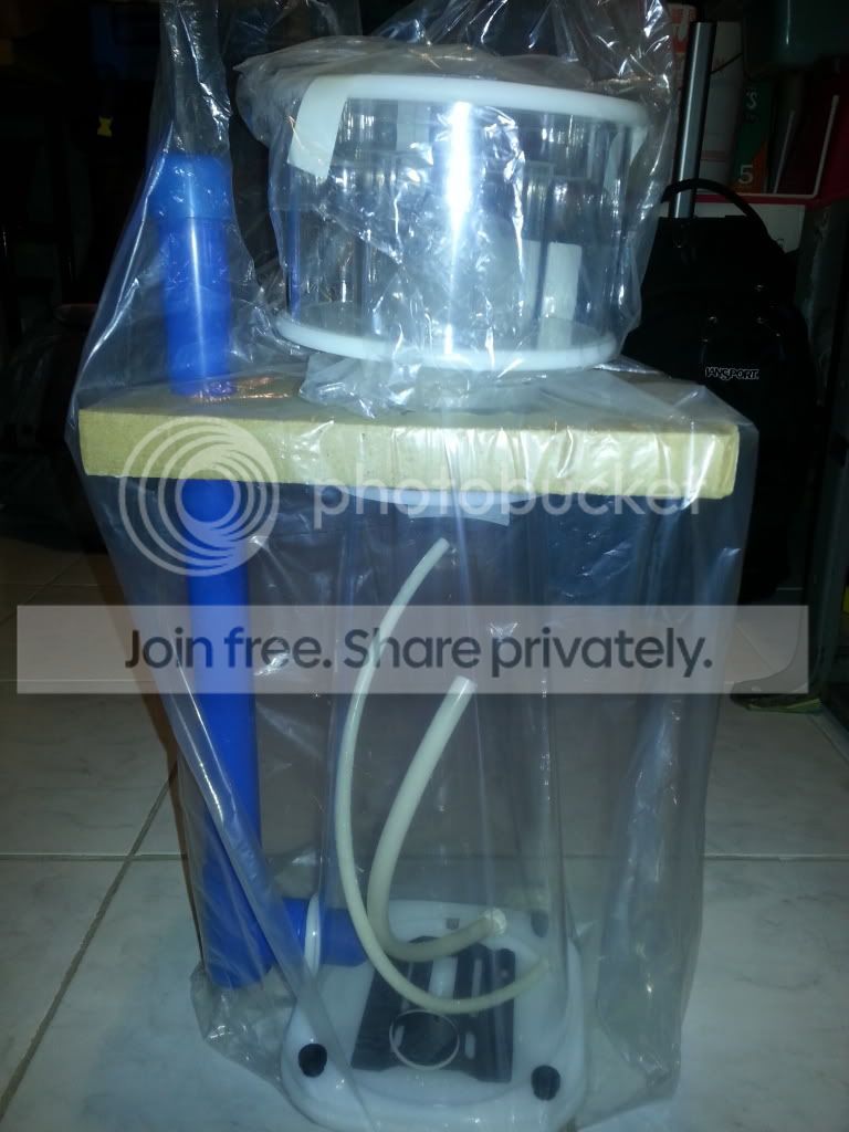 20130210_083726_zpse813babb.jpg