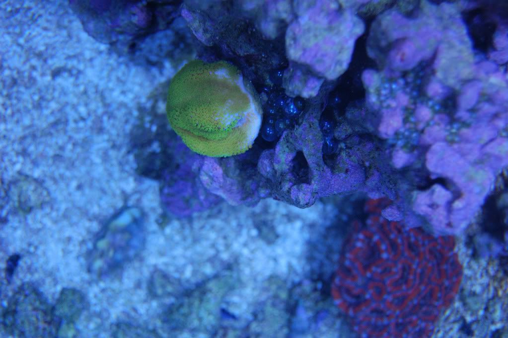 DSC_0214_795.jpg