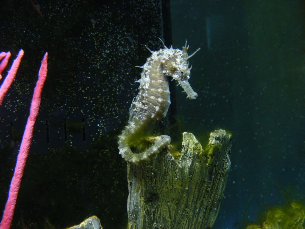 DSCN1708.jpg