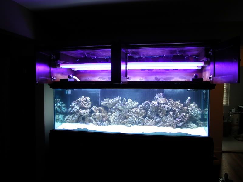 DSCN2628.jpg