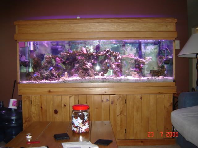 Picture019.jpg