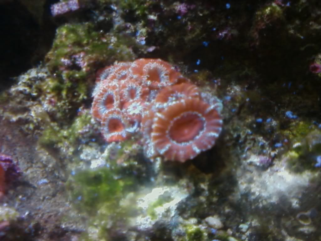 0226090840a.jpg