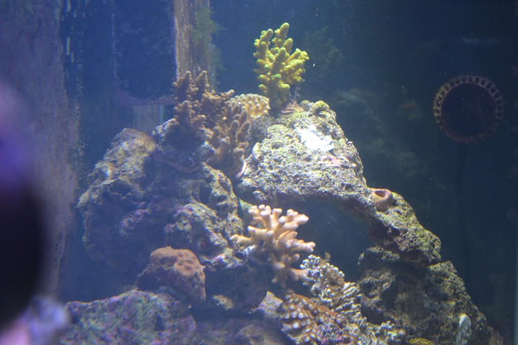 DSC_0027-1.jpg