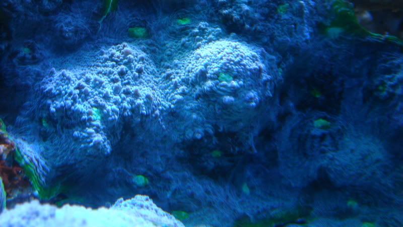 DSCN1591.jpg