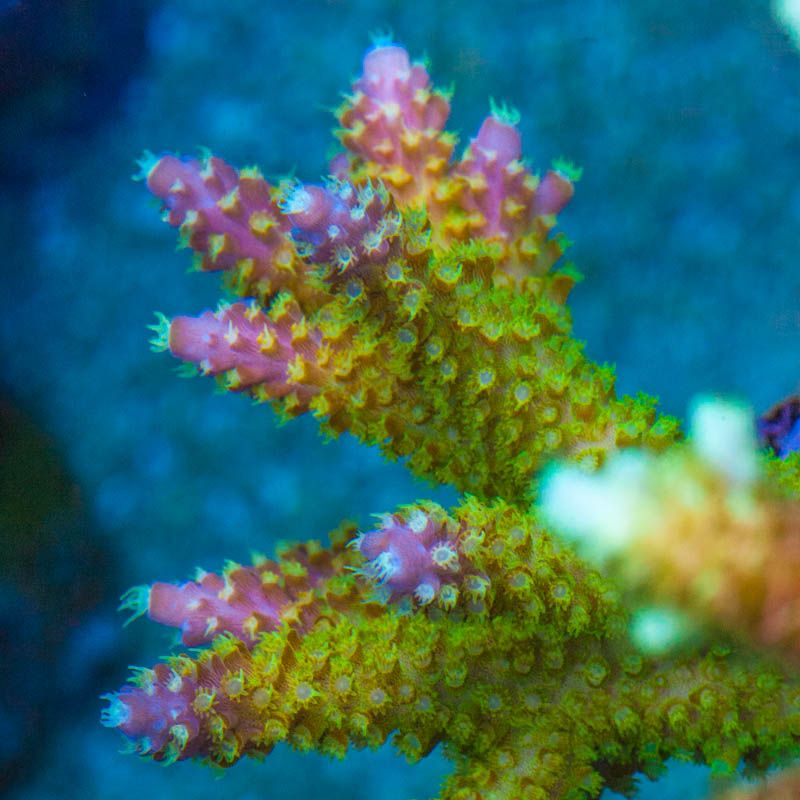 DSC_0167_zps07d6c680.jpg