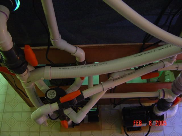 DSC00750.jpg