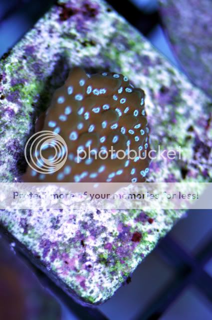 DSC_0575_edited-1.jpg