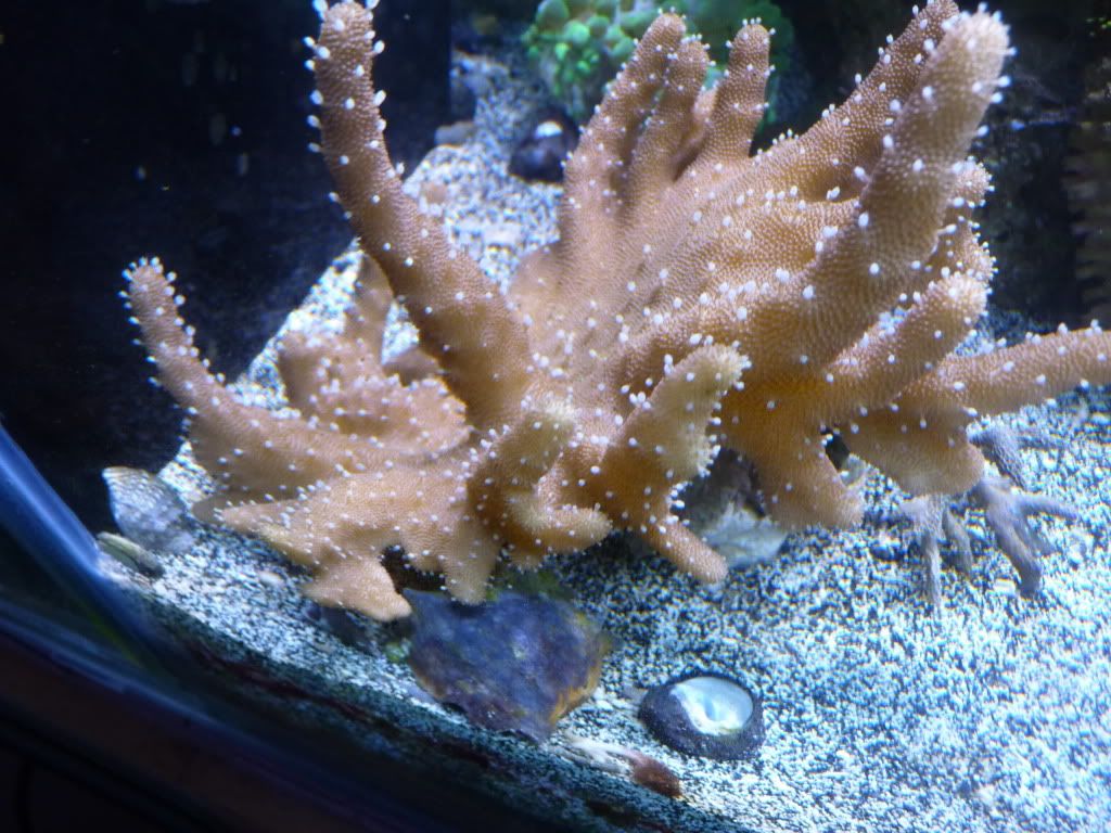 P1070436.jpg