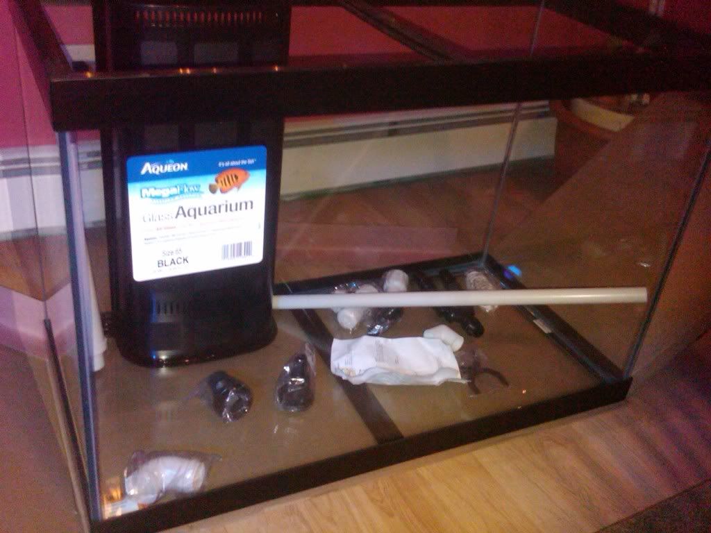 IMG00319-20091229-2200.jpg