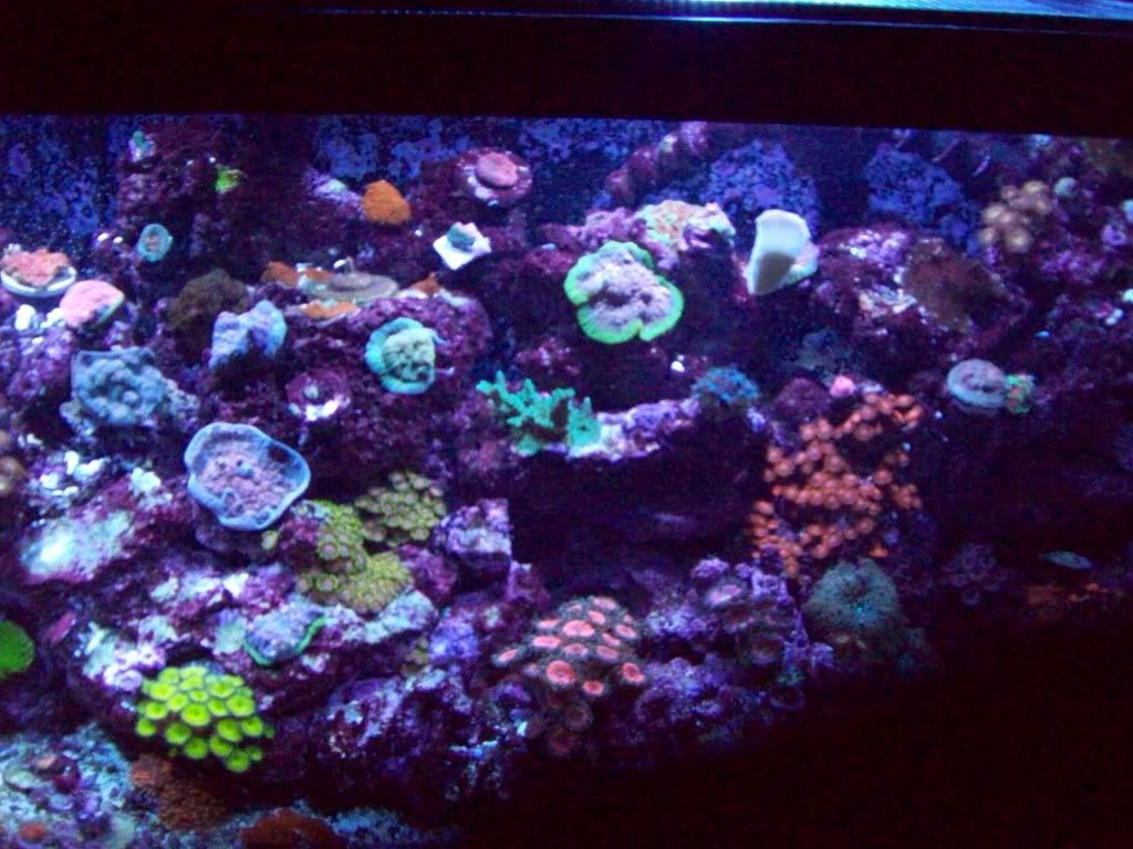 feb2110.jpg