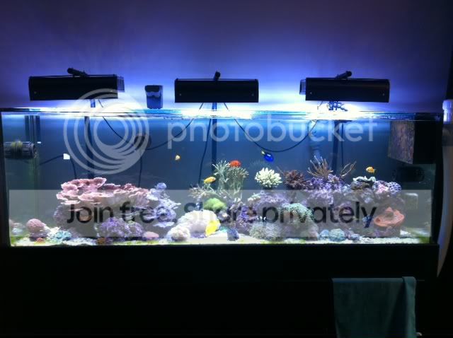 tank0829114.jpg