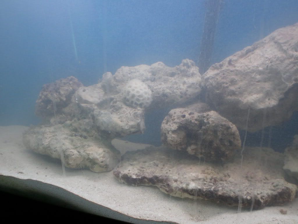 sono1049.jpg