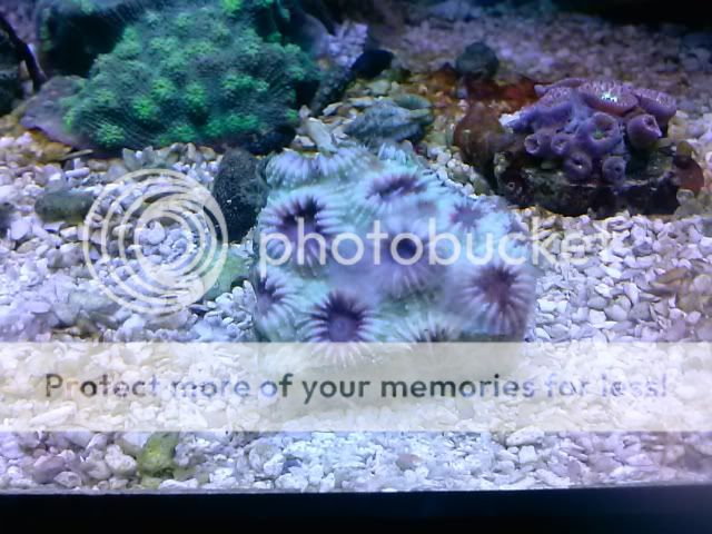 CAM00420.jpg