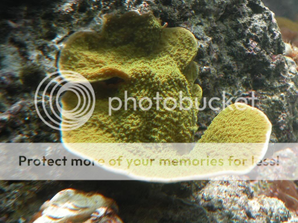 DSCN4196.jpg