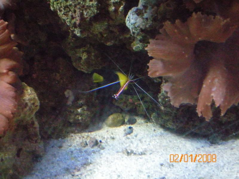 100_0112.jpg