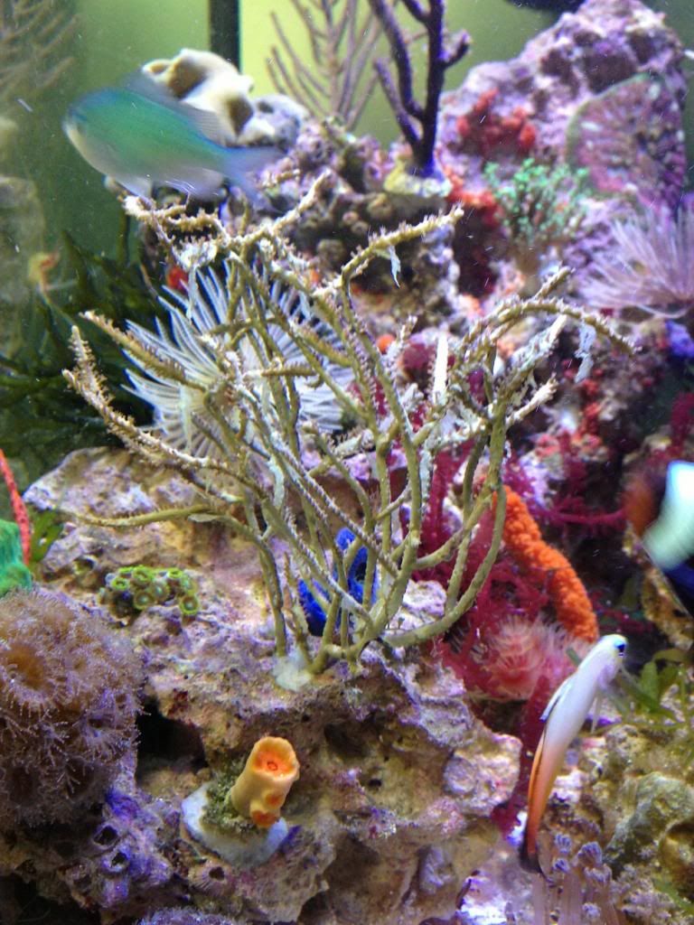 IMG_6698_zps840db8f2.jpg