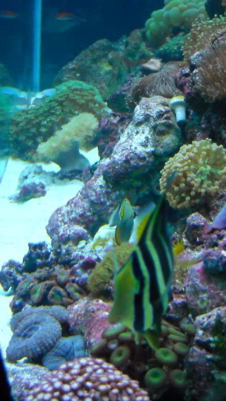 DSCN0781.jpg