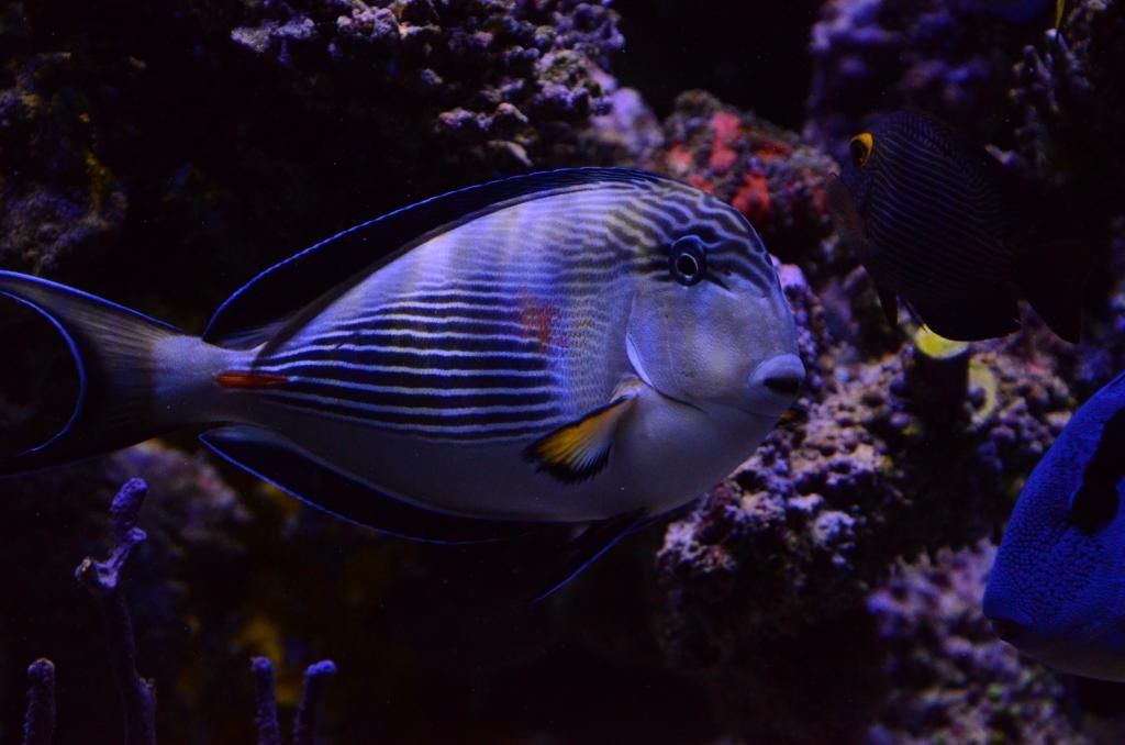 D7000014.jpg