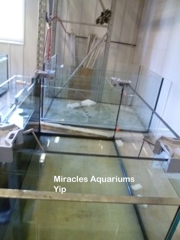 tank3.jpg