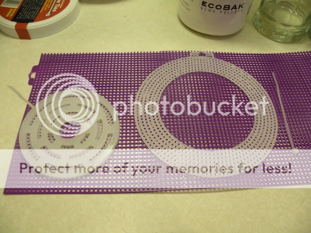 DSCN5707.jpg