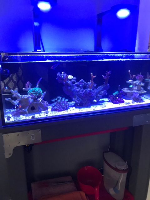 120e86f250f87f1320dadc01f69024e9.jpg