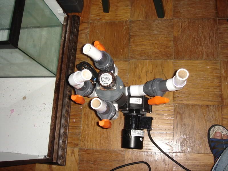 2008_0308100g-square0009.jpg