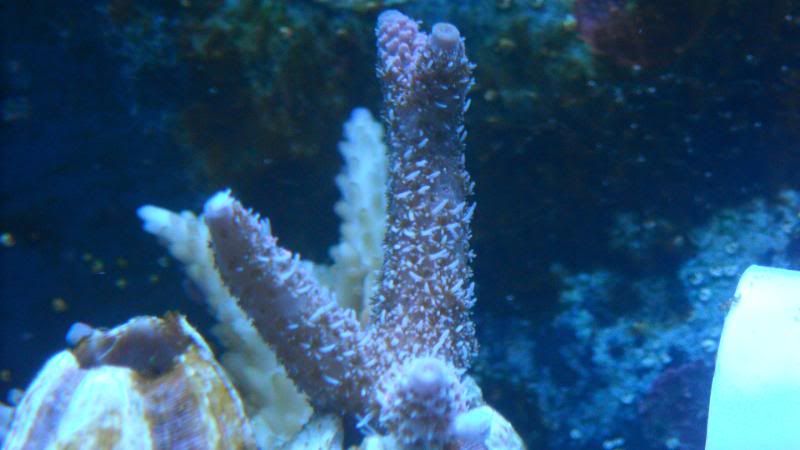 DSCN1278.jpg