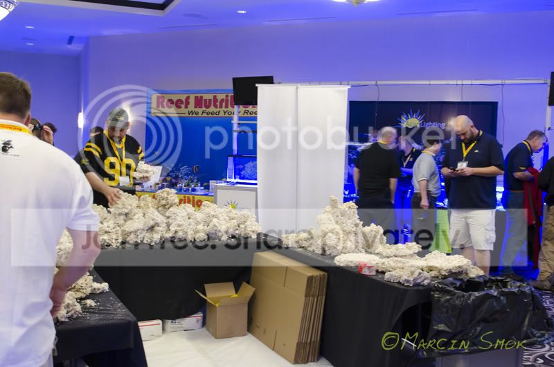 _D700019.jpg