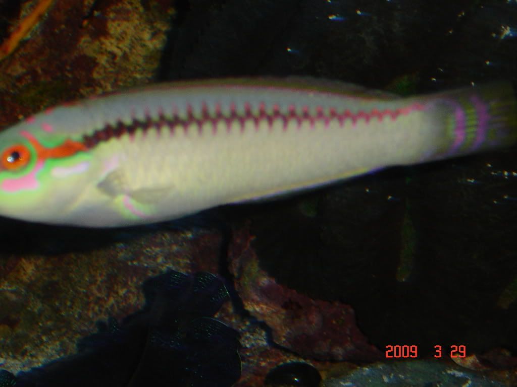 DSC03036.jpg