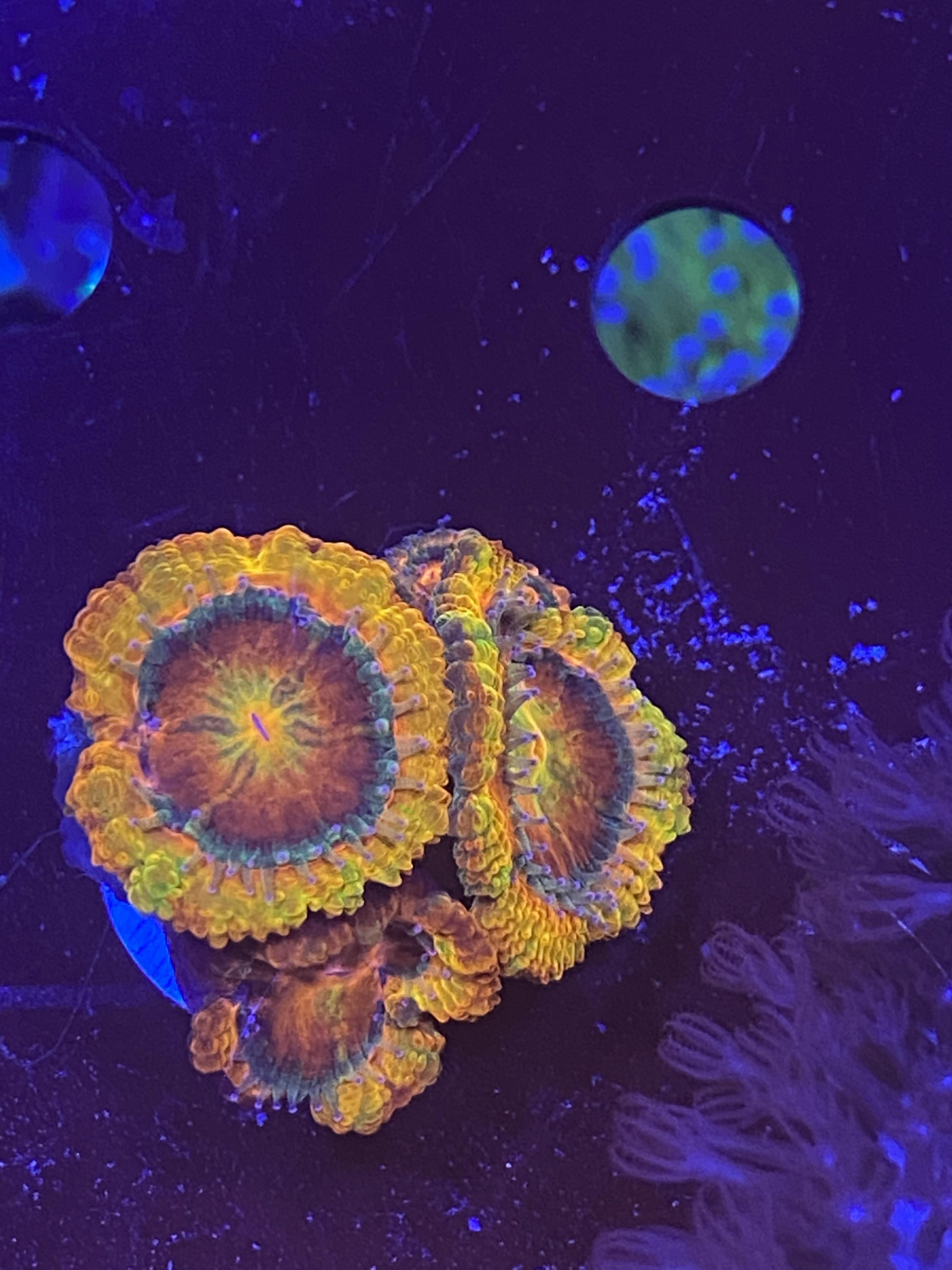 e6e5febd0a00ea7c47841ac5b4f38baf.jpg