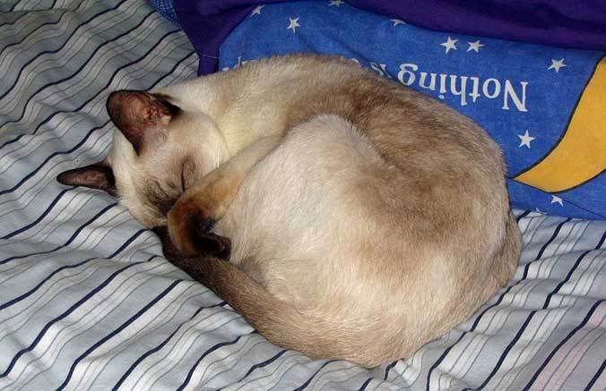 alex_sleeping.jpg