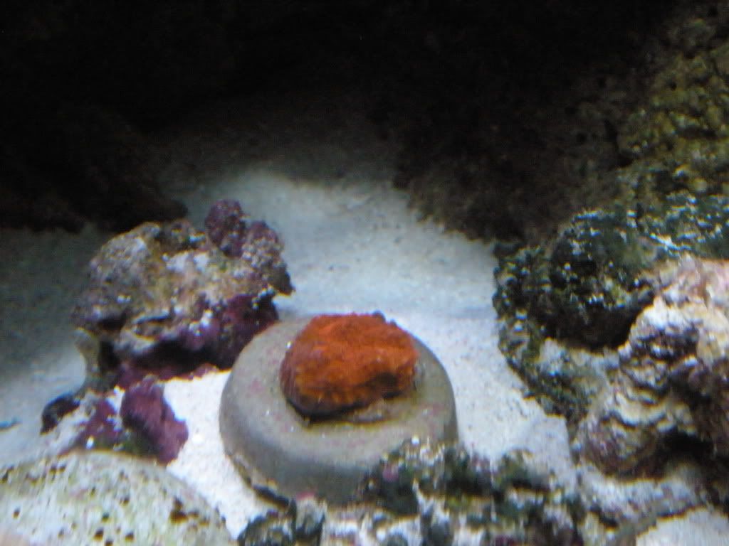 P7030010.jpg