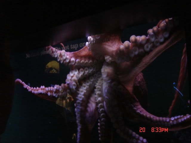 DSC01376.jpg