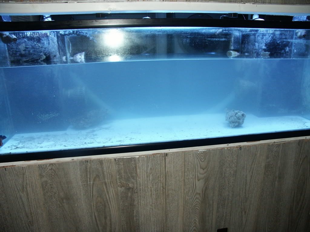 PICT0234.jpg