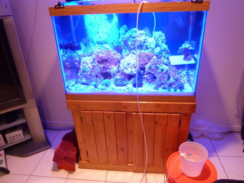 P1010377.jpg