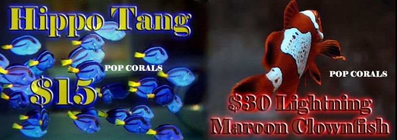 99d15a1fd72af193affbc3b5b7b45ccc.jpg