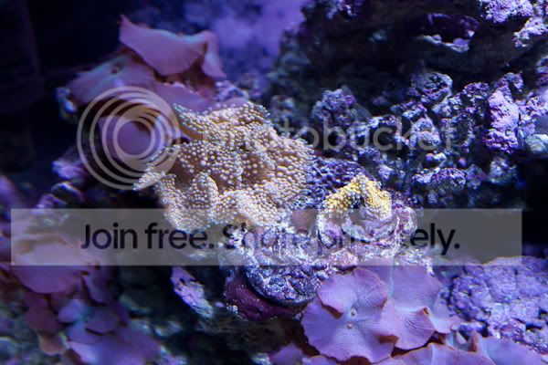 fishforsale-3.jpg