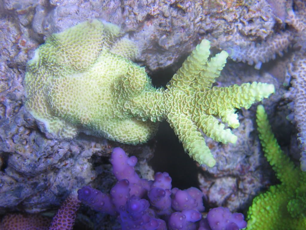 IMG_0825.jpg