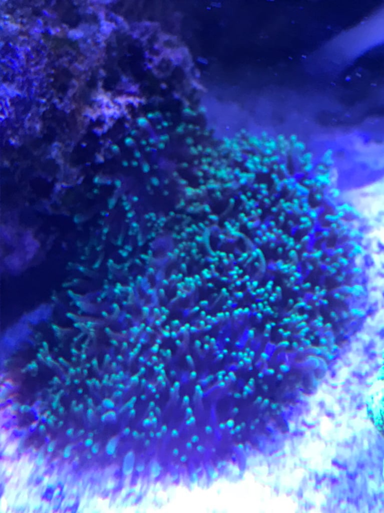 f3381e81ec41730bff282953befd58b6.jpg