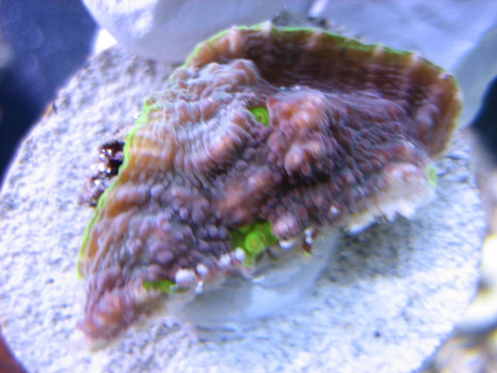 IMG_0598.jpg