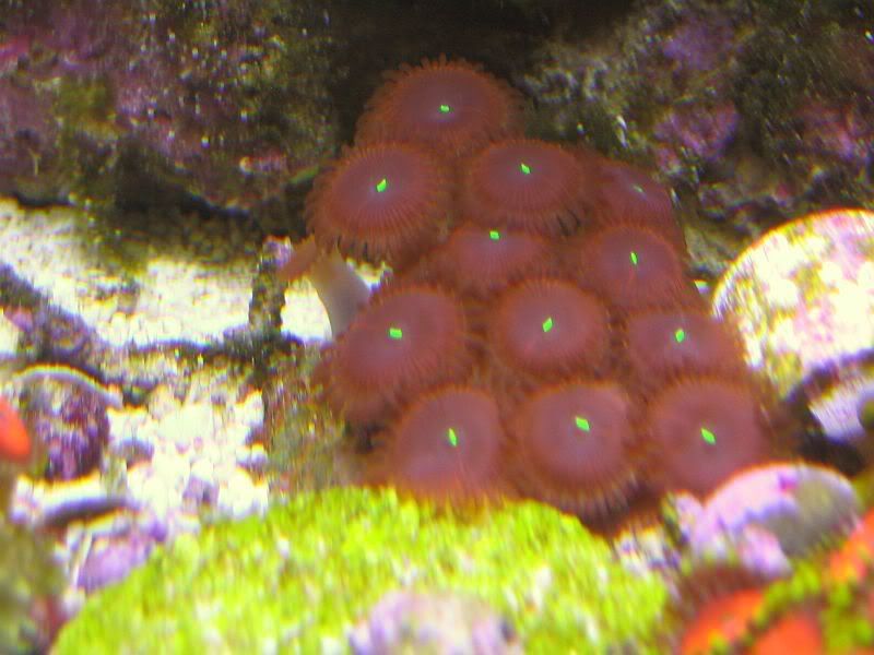 65g014.jpg