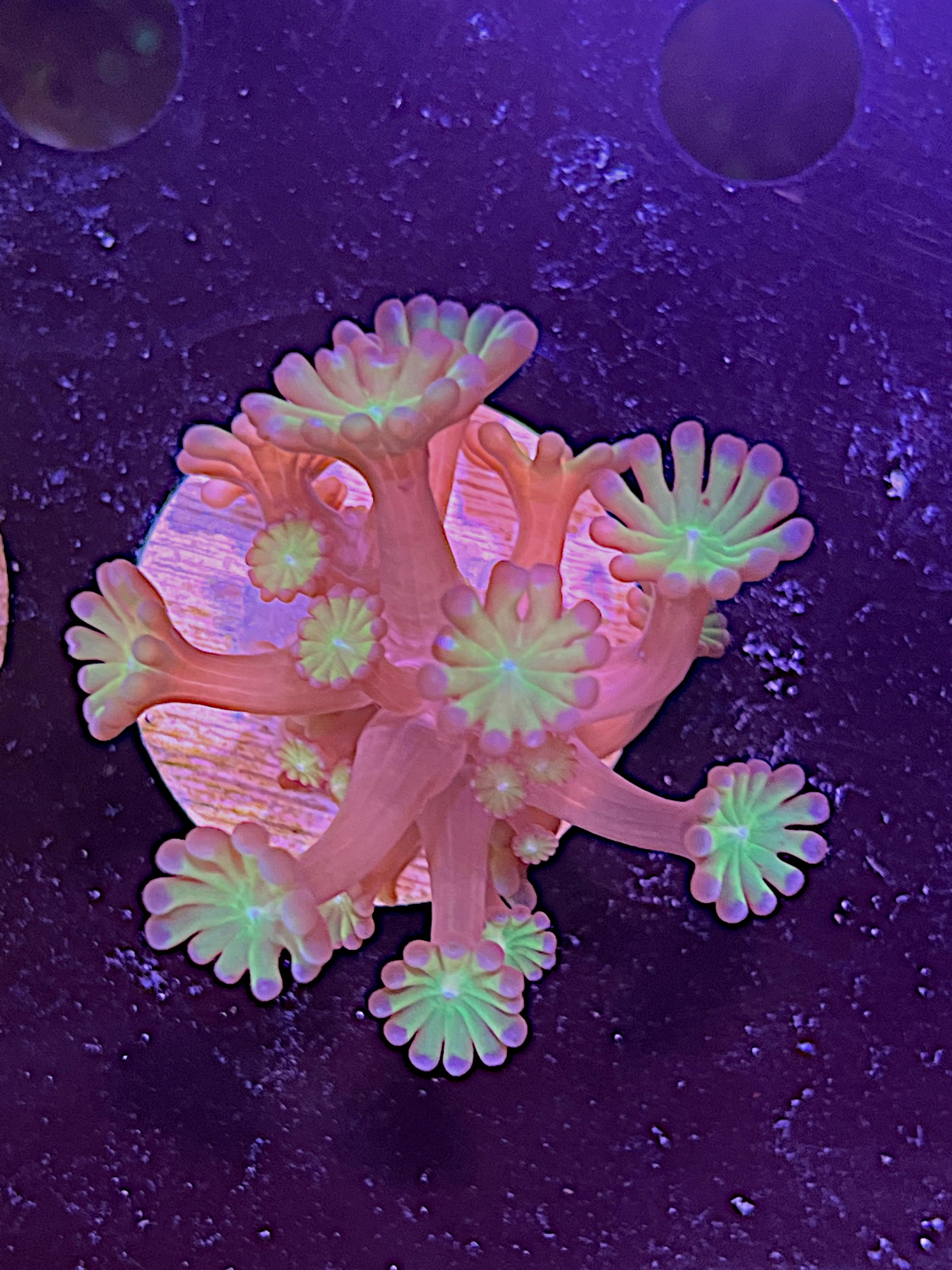 39c081ea20f68e9d9ae5ce57fbc14087.jpg