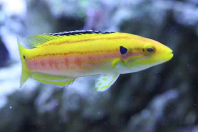 _MG_6070.jpg