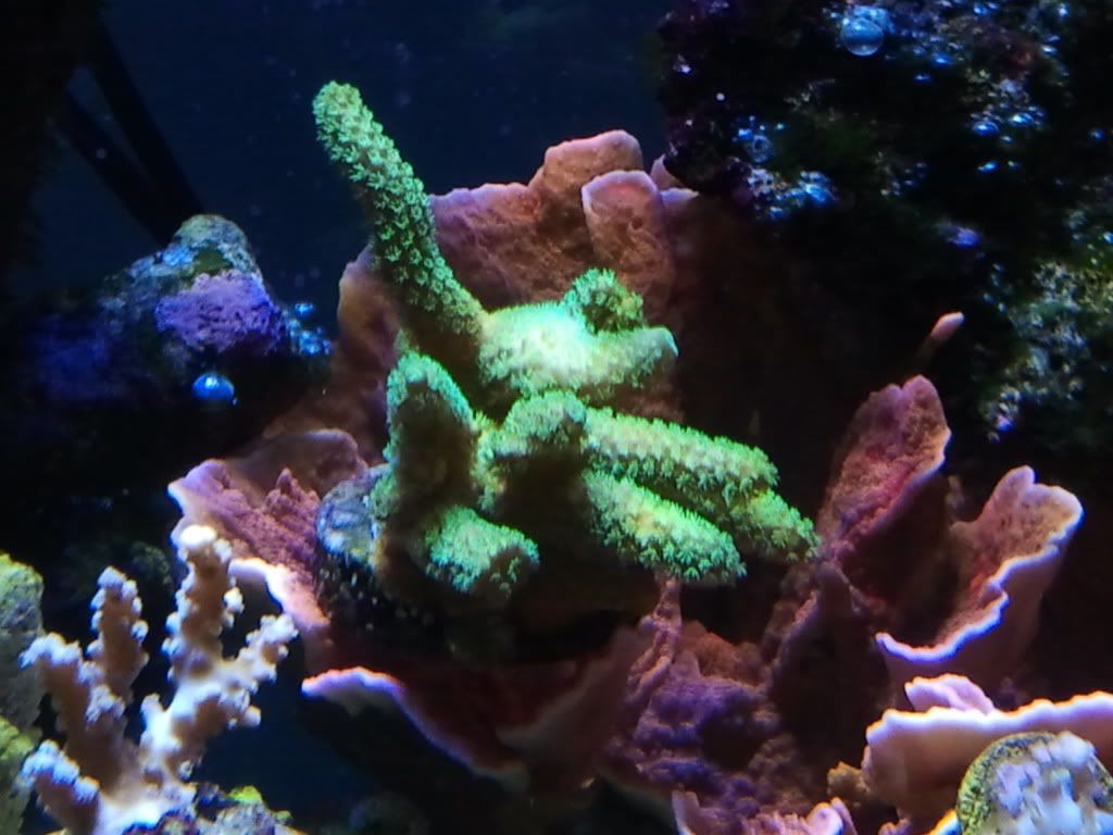 2011-05-17185818.jpg