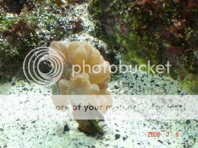 DSC02304Small.jpg