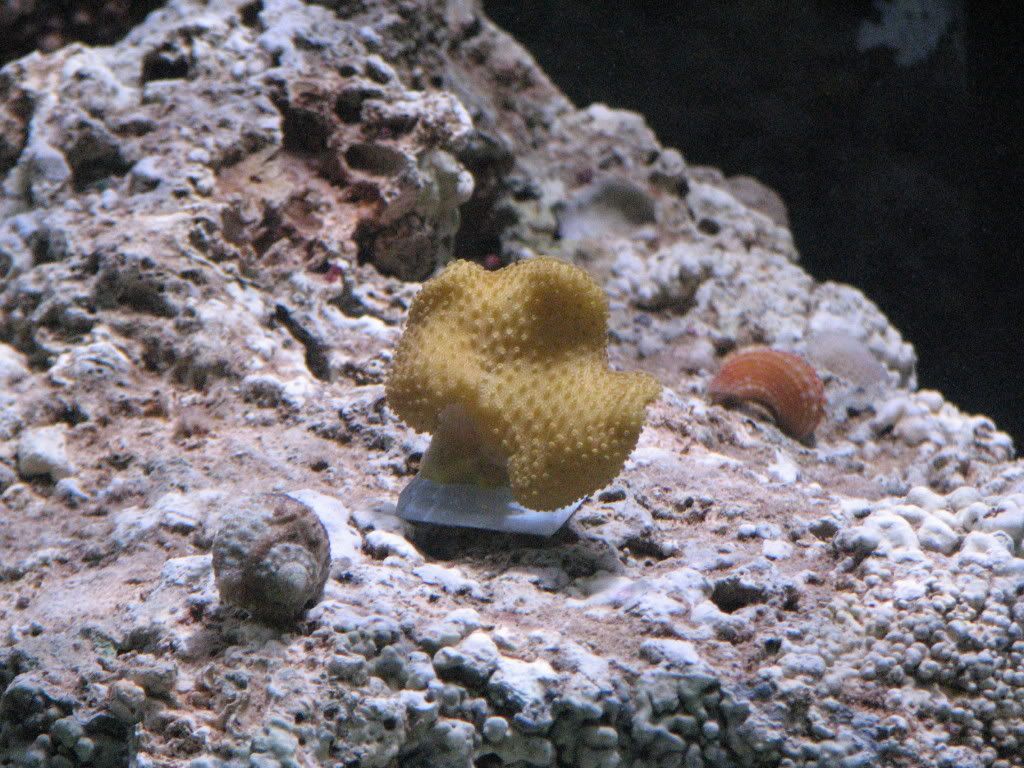 IMG_2636.jpg