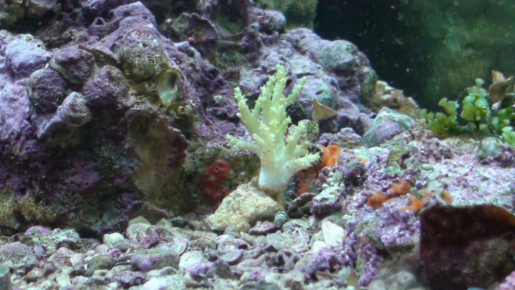 DSC00395.jpg