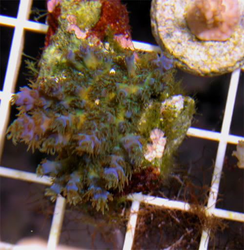 DSCN0660.jpg