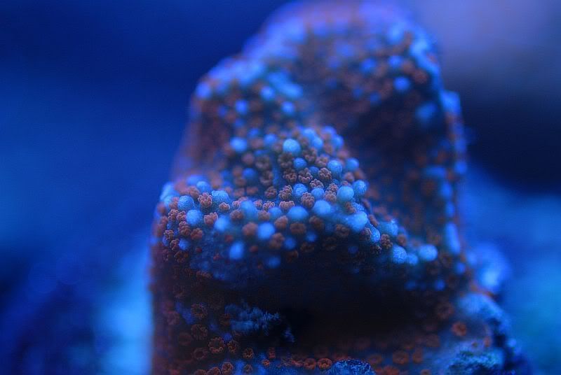 DSC_0314.jpg